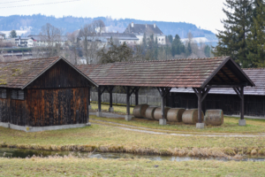 Gruene Erde_Campus am Almfluss 6